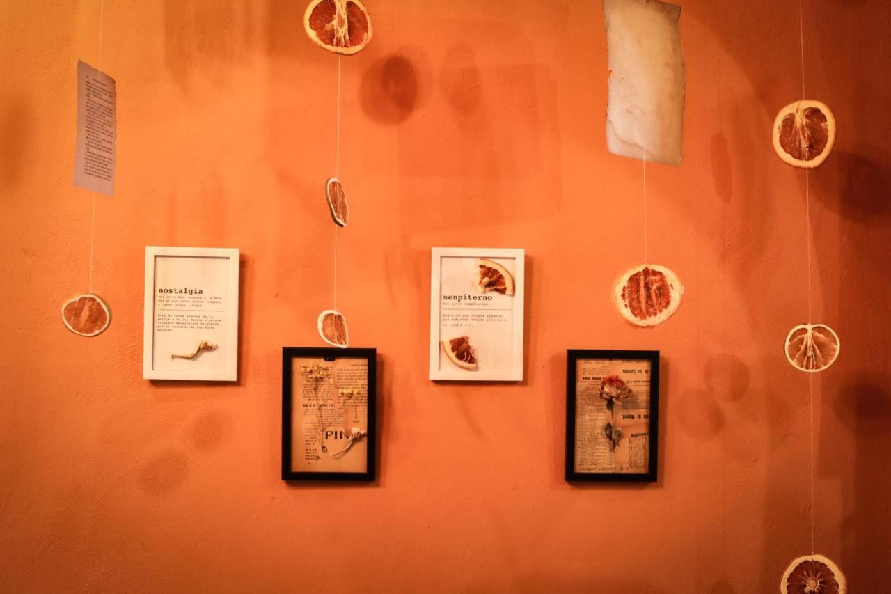 Kuka Y Letras Bed & Breakfast Merida Exterior photo